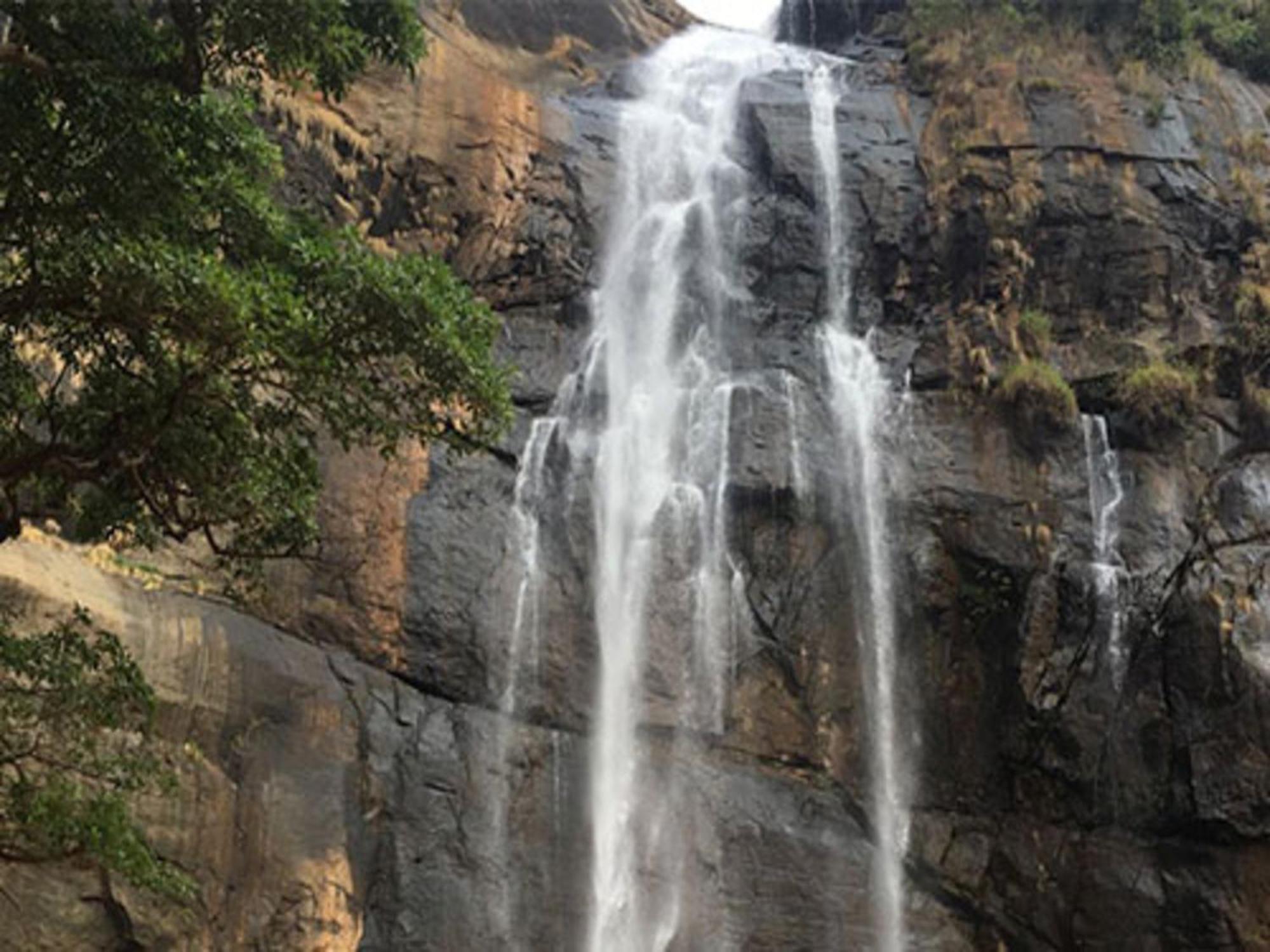 Coastal Grand Mahendravanam - Kolli Hills Ngoại thất bức ảnh