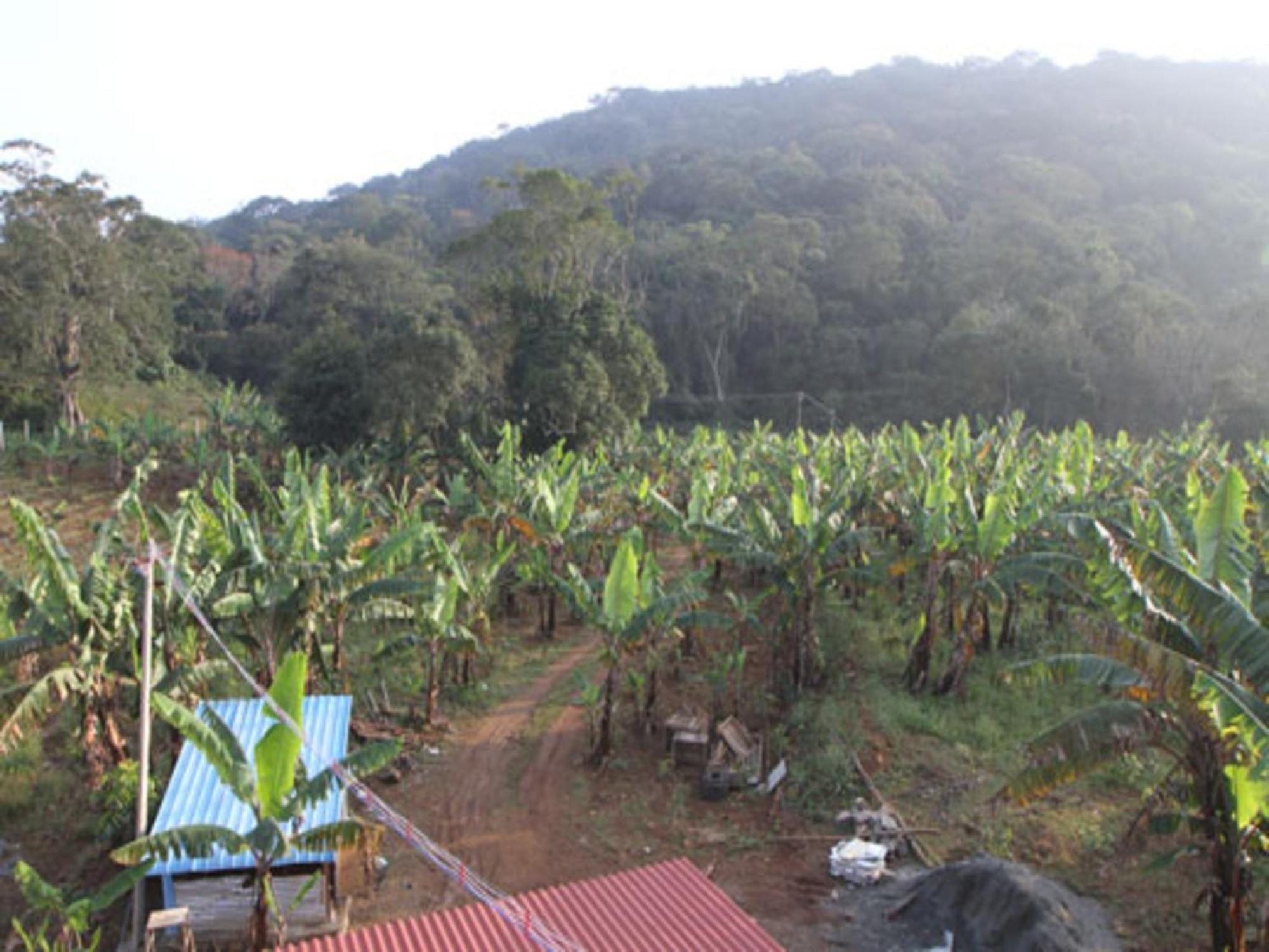 Coastal Grand Mahendravanam - Kolli Hills Ngoại thất bức ảnh